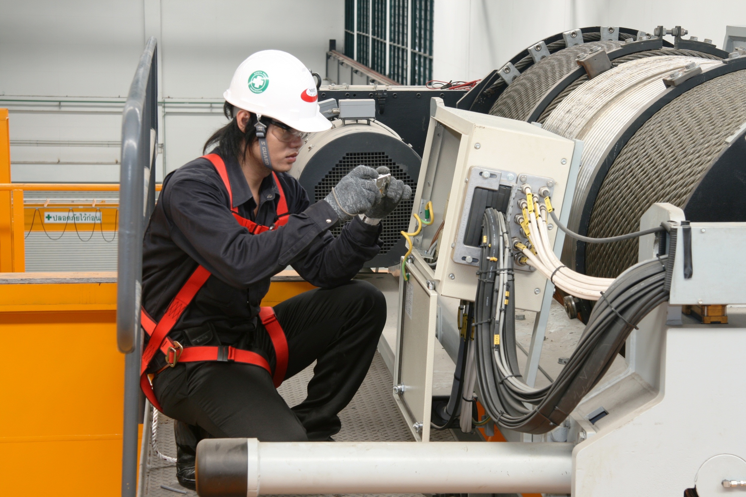 Hoist & Crane inspection