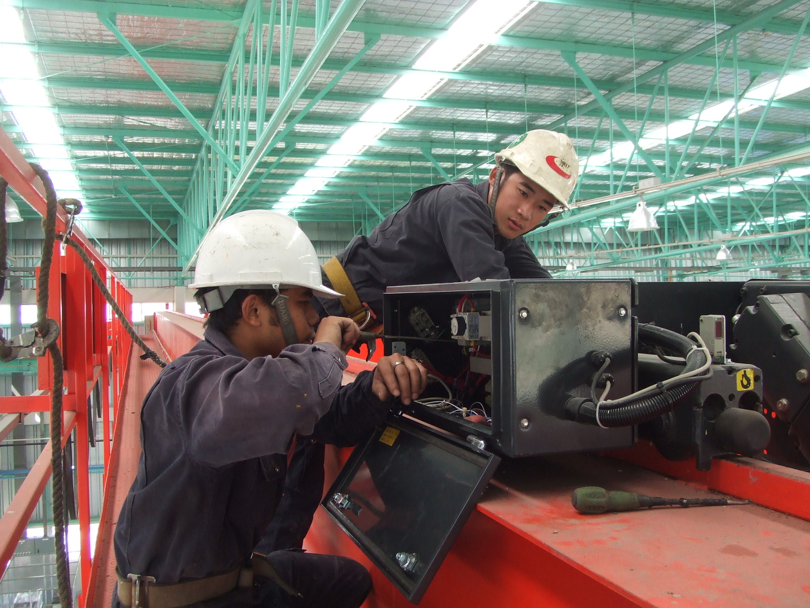 Hoist & Crane inspection