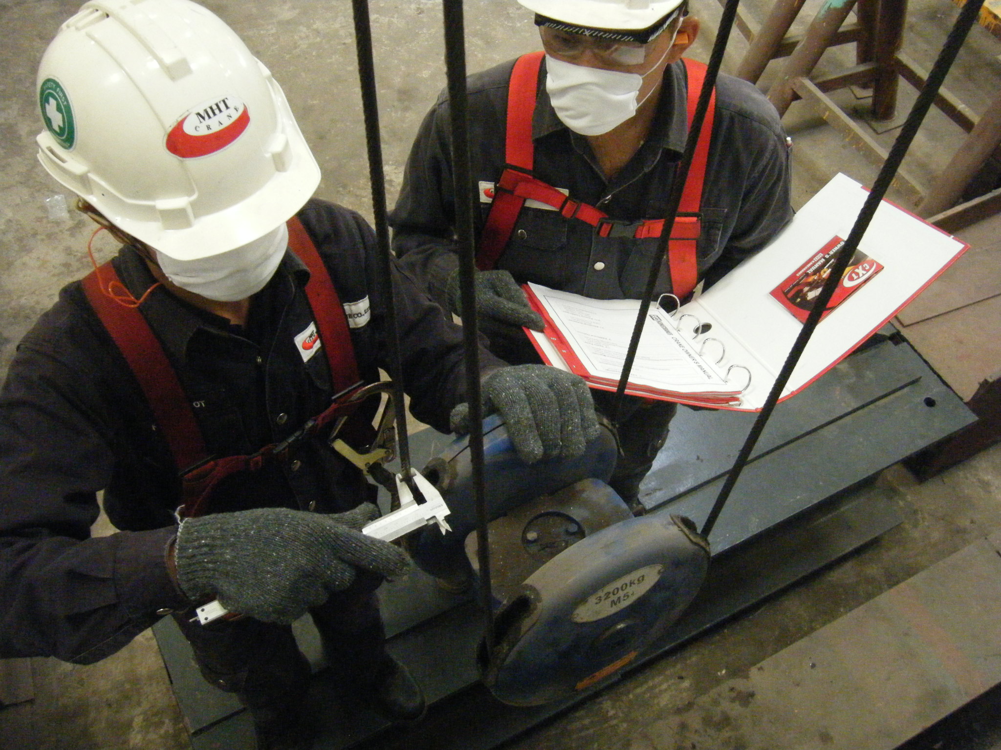 Hoist & Crane inspection